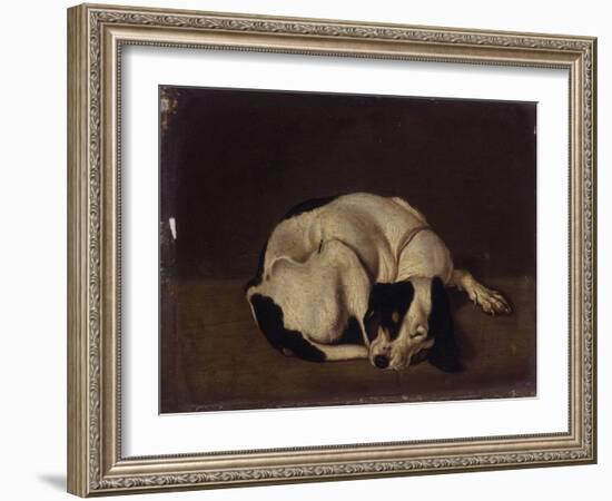 Sleeping Dog-Arcangelo Resani-Framed Art Print