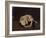 Sleeping Dog-Arcangelo Resani-Framed Art Print