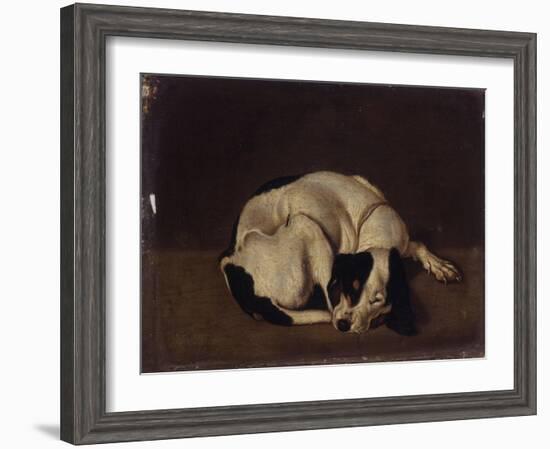 Sleeping Dog-Arcangelo Resani-Framed Art Print