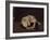 Sleeping Dog-Arcangelo Resani-Framed Art Print