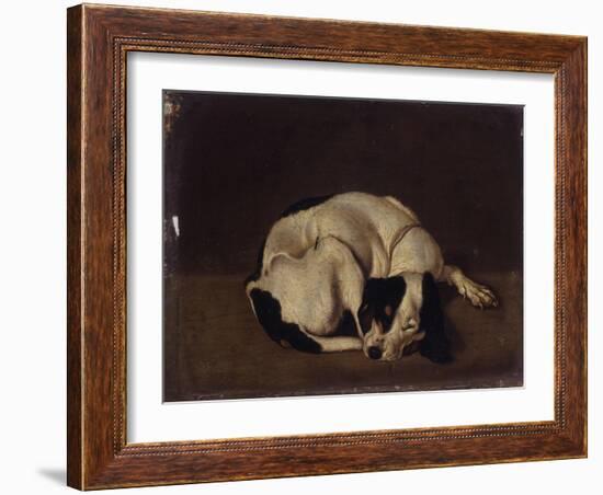 Sleeping Dog-Arcangelo Resani-Framed Art Print