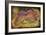 Sleeping Dragon on Gold Hoard-Wayne Anderson-Framed Giclee Print