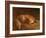 Sleeping Fox-Jafunda and Abraham Cresques-Framed Giclee Print