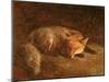 Sleeping Fox-Jafunda and Abraham Cresques-Mounted Giclee Print