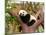 Sleeping Giant Panda Baby-SJ Travel Photo and Video-Mounted Photographic Print