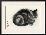Sleeping Gray Cat-null-Framed Art Print