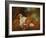 Sleeping Harvester (Oil on Canvas)-Jean Francois de Troy-Framed Giclee Print