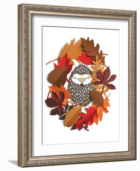 Sleeping hedgehog-Isobel Barber-Framed Giclee Print