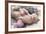 Sleeping Kitten Rare Color (Lilac)-Liliya Kulianionak-Framed Photographic Print