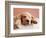 Sleeping Labrador Puppy-Jim Craigmyle-Framed Photographic Print