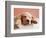 Sleeping Labrador Puppy-Jim Craigmyle-Framed Photographic Print