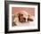 Sleeping Labrador Puppy-Jim Craigmyle-Framed Photographic Print