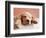 Sleeping Labrador Puppy-Jim Craigmyle-Framed Photographic Print