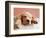 Sleeping Labrador Puppy-Jim Craigmyle-Framed Photographic Print