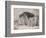 Sleeping Lion and Lioness-F. Lewis-Framed Photographic Print