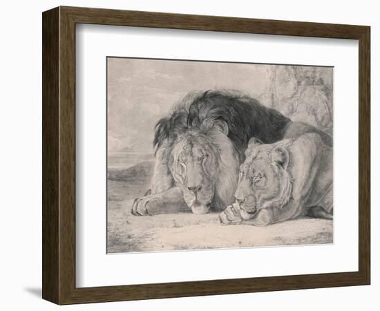 Sleeping Lion and Lioness-F. Lewis-Framed Photographic Print