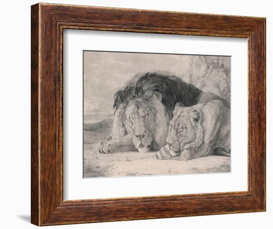 Sleeping Lion and Lioness-F. Lewis-Framed Photographic Print