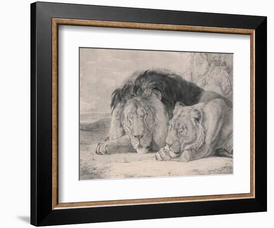 Sleeping Lion and Lioness-F. Lewis-Framed Photographic Print