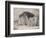 Sleeping Lion and Lioness-F. Lewis-Framed Photographic Print