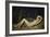 Sleeping Nymph-Theodore Chasseriau-Framed Giclee Print