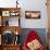 Sleeping Orange Cat in Cat Bed-Deyan Georgiev-Photographic Print displayed on a wall