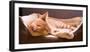 Sleeping Orange Cat in Cat Bed-Deyan Georgiev-Framed Photographic Print
