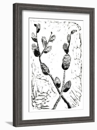 Sleeping Pussy Willow, 2014-Bella Larsson-Framed Giclee Print