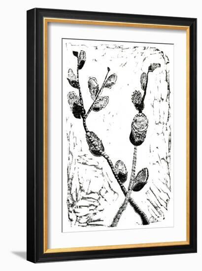 Sleeping Pussy Willow, 2014-Bella Larsson-Framed Giclee Print