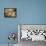 Sleeping Sea Lions, La Jolla, California, Usa-Rob Sheppard-Framed Premier Image Canvas displayed on a wall