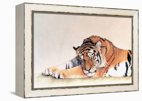 Sleeping Tiger-Jan Henderson-Framed Stretched Canvas