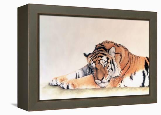 Sleeping Tiger-Jan Henderson-Framed Stretched Canvas