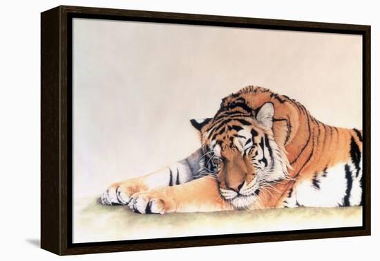 Sleeping Tiger-Jan Henderson-Framed Stretched Canvas