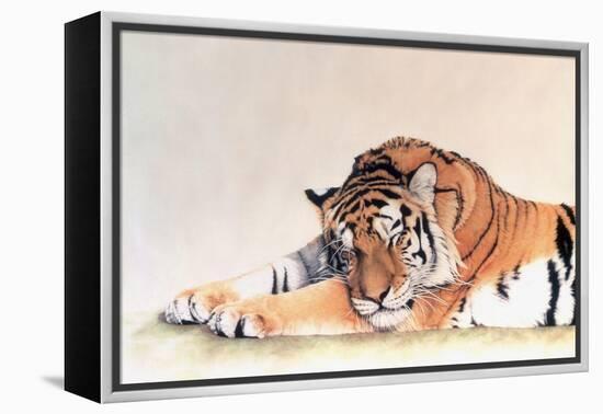 Sleeping Tiger-Jan Henderson-Framed Stretched Canvas