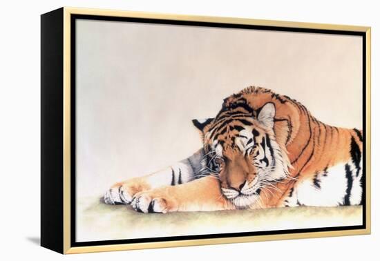 Sleeping Tiger-Jan Henderson-Framed Stretched Canvas