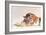 Sleeping Tiger-Jan Henderson-Framed Art Print