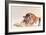 Sleeping Tiger-Jan Henderson-Framed Art Print