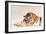 Sleeping Tiger-Jan Henderson-Framed Art Print