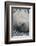 Sleeping Weddell Seal-DLILLC-Framed Photographic Print