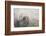 Sleeping Weddell Seal-DLILLC-Framed Photographic Print