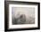 Sleeping Weddell Seal-DLILLC-Framed Photographic Print