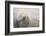 Sleeping Weddell Seal-DLILLC-Framed Photographic Print