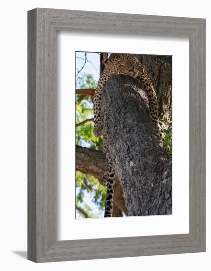 Sleeping-Scott Bennion-Framed Photo