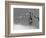 Sleepless-Tim Millar-Framed Photographic Print