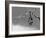 Sleepless-Tim Millar-Framed Photographic Print