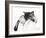 Sleepy Baby, 2013-Vincent Alexander Booth-Framed Giclee Print