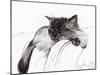 Sleepy Baby, 2013-Vincent Alexander Booth-Mounted Giclee Print