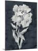 Sleepy Flower-Kristine Hegre-Mounted Giclee Print