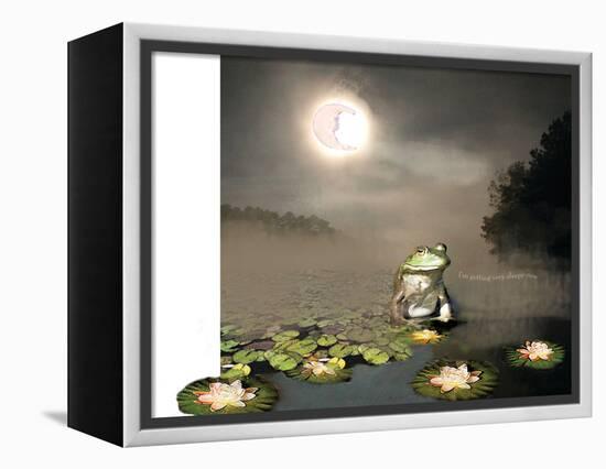 Sleepy Frog-Nancy Tillman-Framed Stretched Canvas