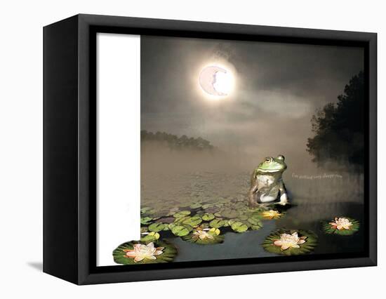 Sleepy Frog-Nancy Tillman-Framed Stretched Canvas