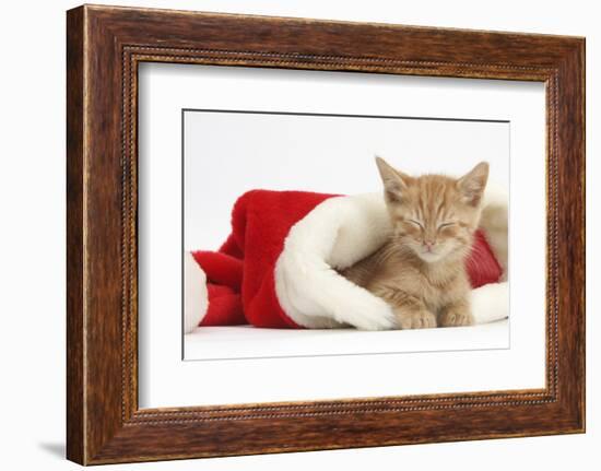 Sleepy Ginger Kitten, 5 Weeks, in a Father Christmas Hat-Mark Taylor-Framed Photographic Print